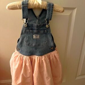 OshKosh B'gosh Denim and Pink Dress